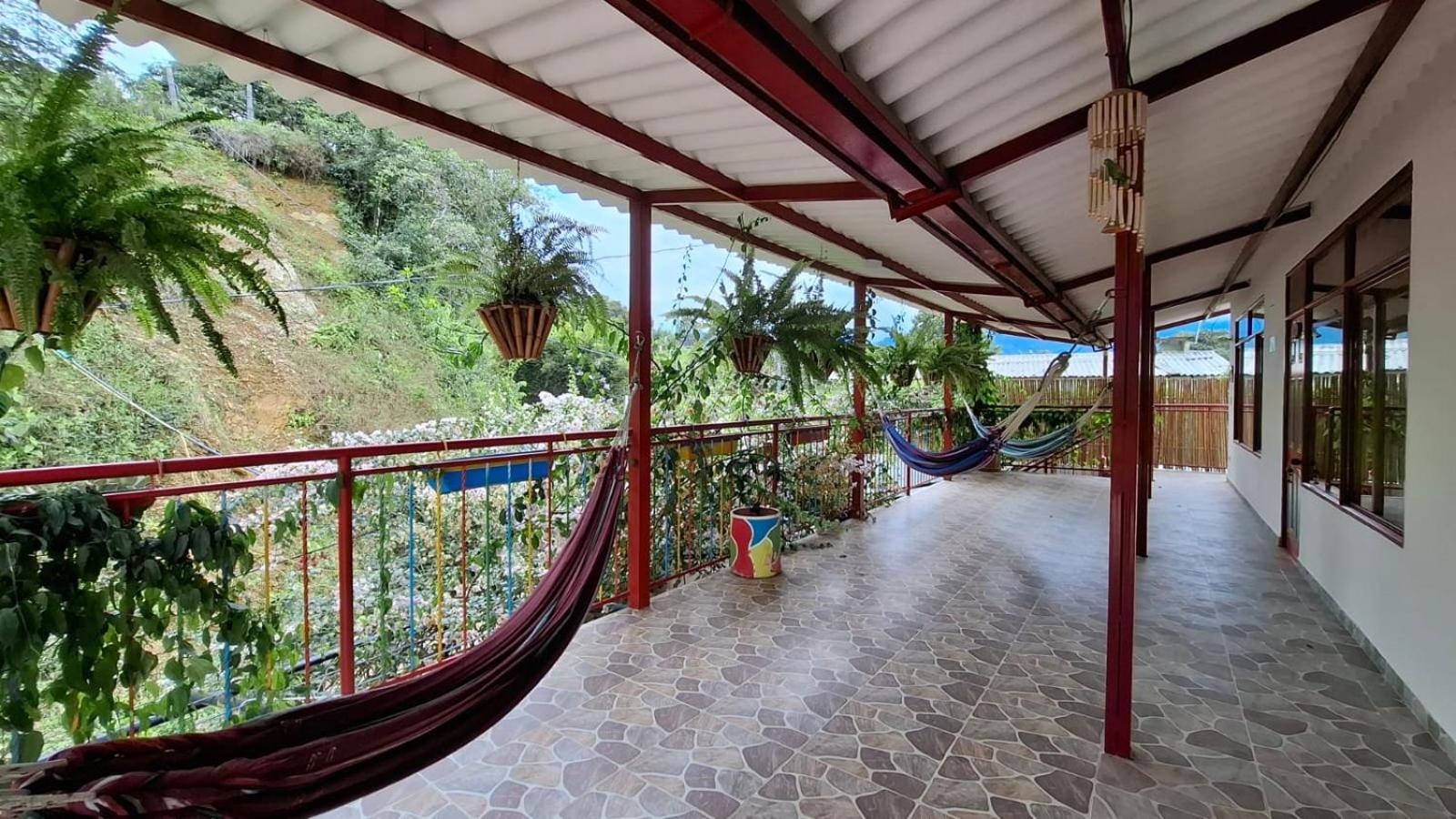 New Paradise Nueva Sede - La Vega Cundinamarca
